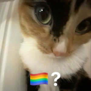 Meet your Posher, Rylee